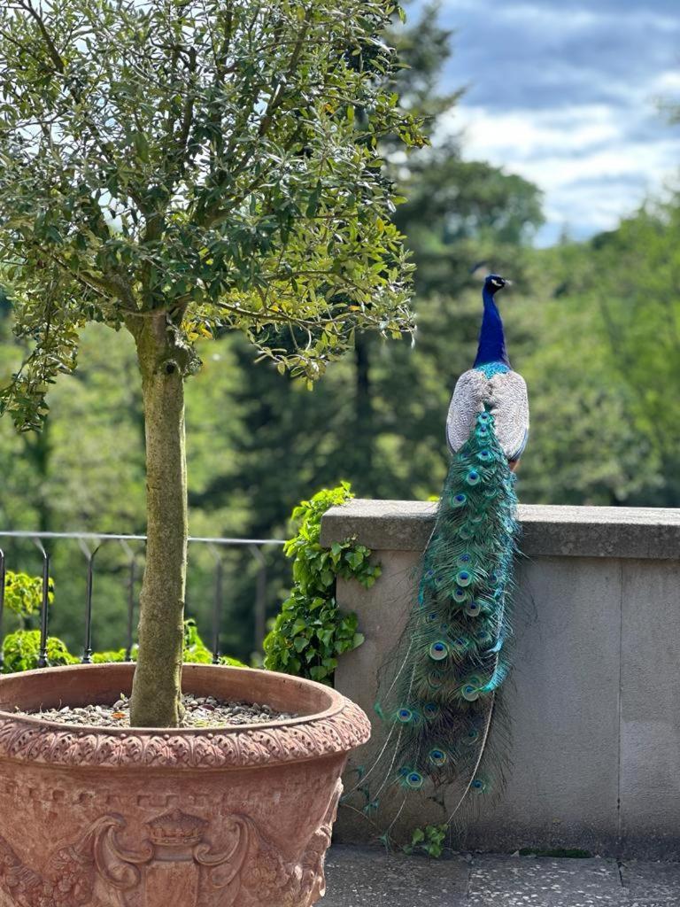 Villa La Commenda Concordia Molezzano エクステリア 写真